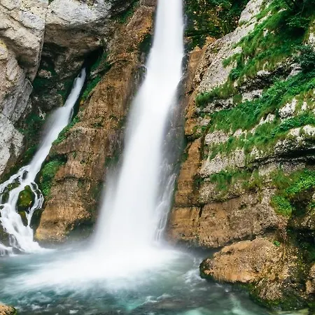 Hébergement de vacances Magical Family 84